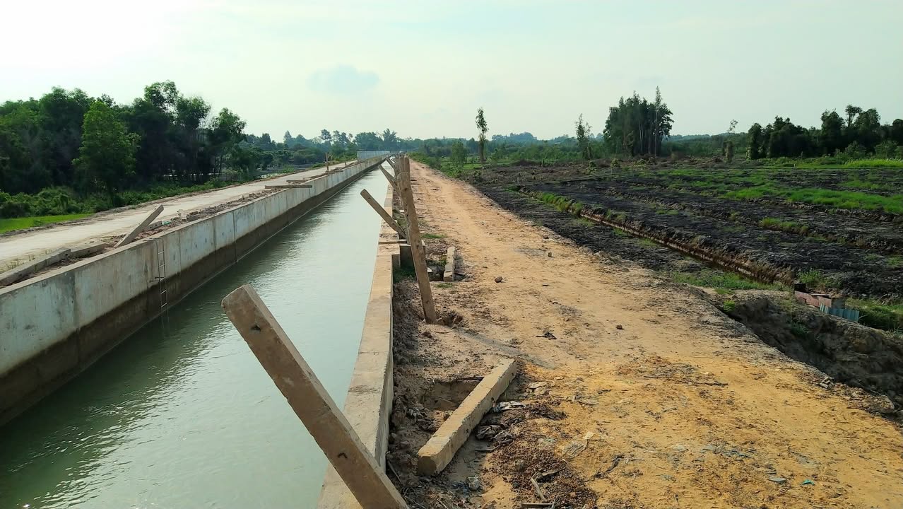 Đất Farm mặt tiền Kênh Đông Tân Thông Hội 5000m² - Tiềm năng phát triển lớn