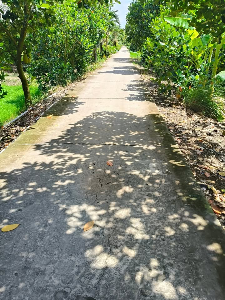 Đất nông nghiệp xã Phú Cường Cai Lậy 20.000m² giá 1,5 tỷ - Mặt tiền 30m, gần đường lớn!