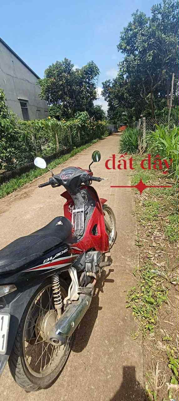 Đất nền Tân Hòa Buôn Đôn 480m² giá chỉ 365 triệu - Cơ hội đầu tư tuyệt vời!