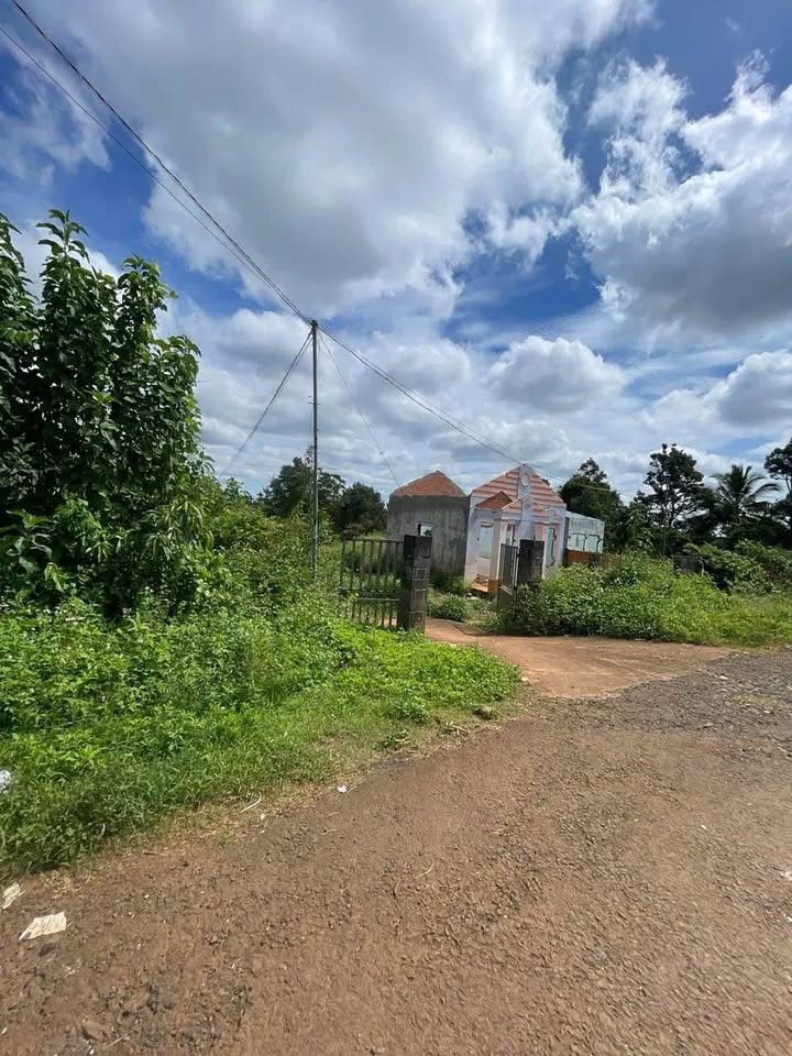 Đất nền Buôn Ma Thuột 255m² giá 1.39 tỷ - Vị trí đắc địa, tiện ích đầy đủ!