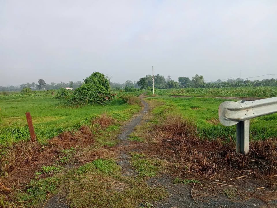 Đất vườn Phú Hòa Đông 4350m² giá 800 triệu - Cơ hội đầu tư hấp dẫn!