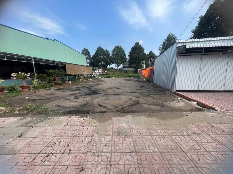 Đất nền bán gấp tại Bình Minh, Vĩnh Long - 296m² giá 7.4 tỷ - Vị trí kinh doanh đắc địa!