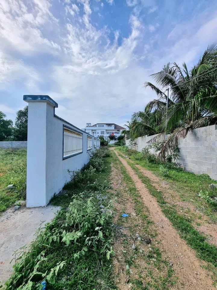 Đất nền 2100m² tại Hàm Tiến, Phan Thiết - Giá chỉ 10.5 tỷ, thương lượng!