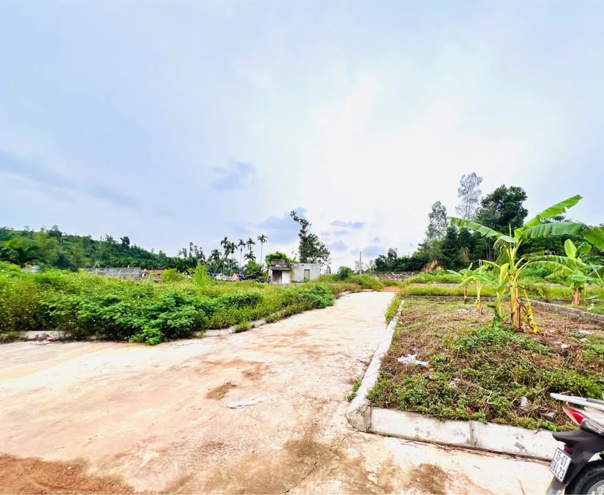 Đất thổ cư 73m² + 402m² đất vườn tại Lưu Kiếm, Hải Phòng chỉ 700 triệu - Cơ hội vàng đầu tư!