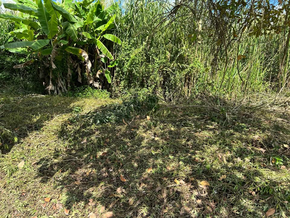 Đất nền chính chủ phường Tân Xuyên 198m² giá 2 tỷ - Sổ đỏ đầy đủ!