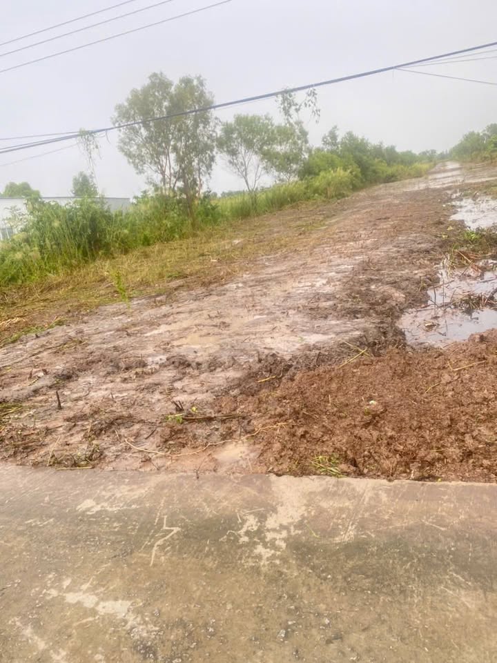 Đất nền vườn 6000m² tại thị trấn U Minh - Giá chỉ 1.38 tỷ!