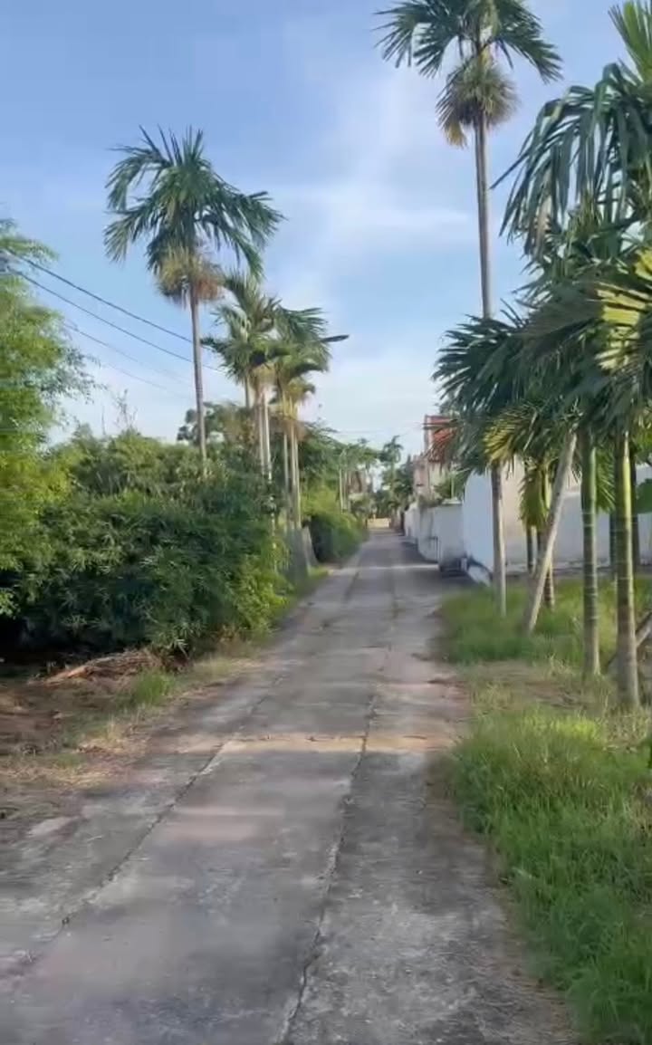 Đất nền xã Hải Cường, Hải Hậu 144m² giá chỉ 700 triệu - Cơ hội vàng cho đầu tư!