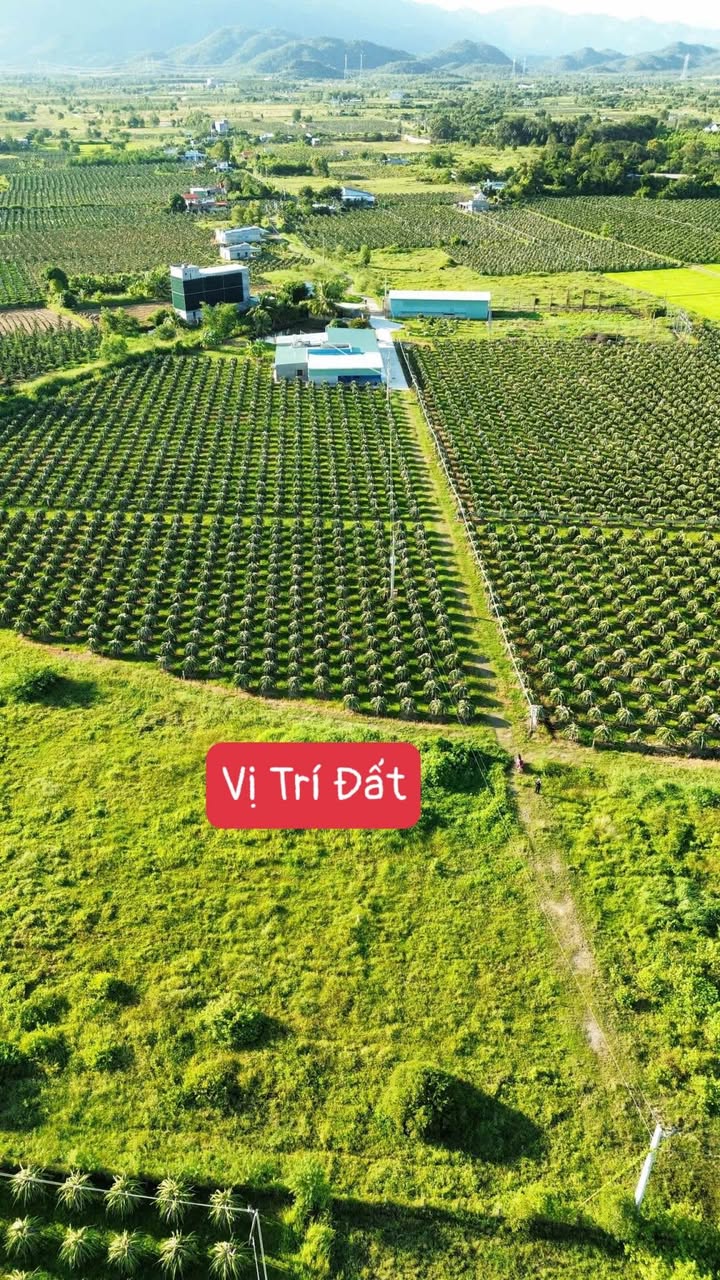 Đất nông nghiệp Hàm Liêm 1700m² giá 520 triệu - Cơ hội đầu tư tuyệt vời!