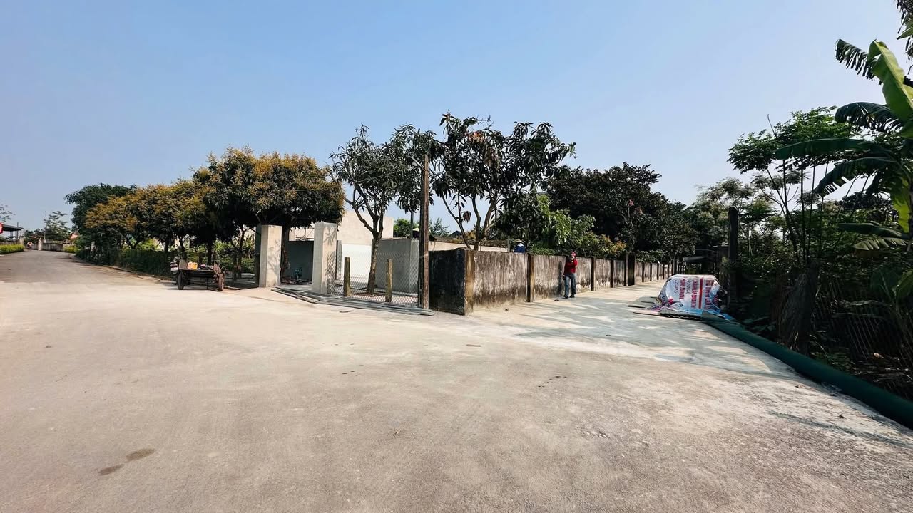 Đất nền khu dân cư Liên Thanh, Thạch Hạ, 133m² giá 970 triệu - Đầu tư sinh lời ngay!