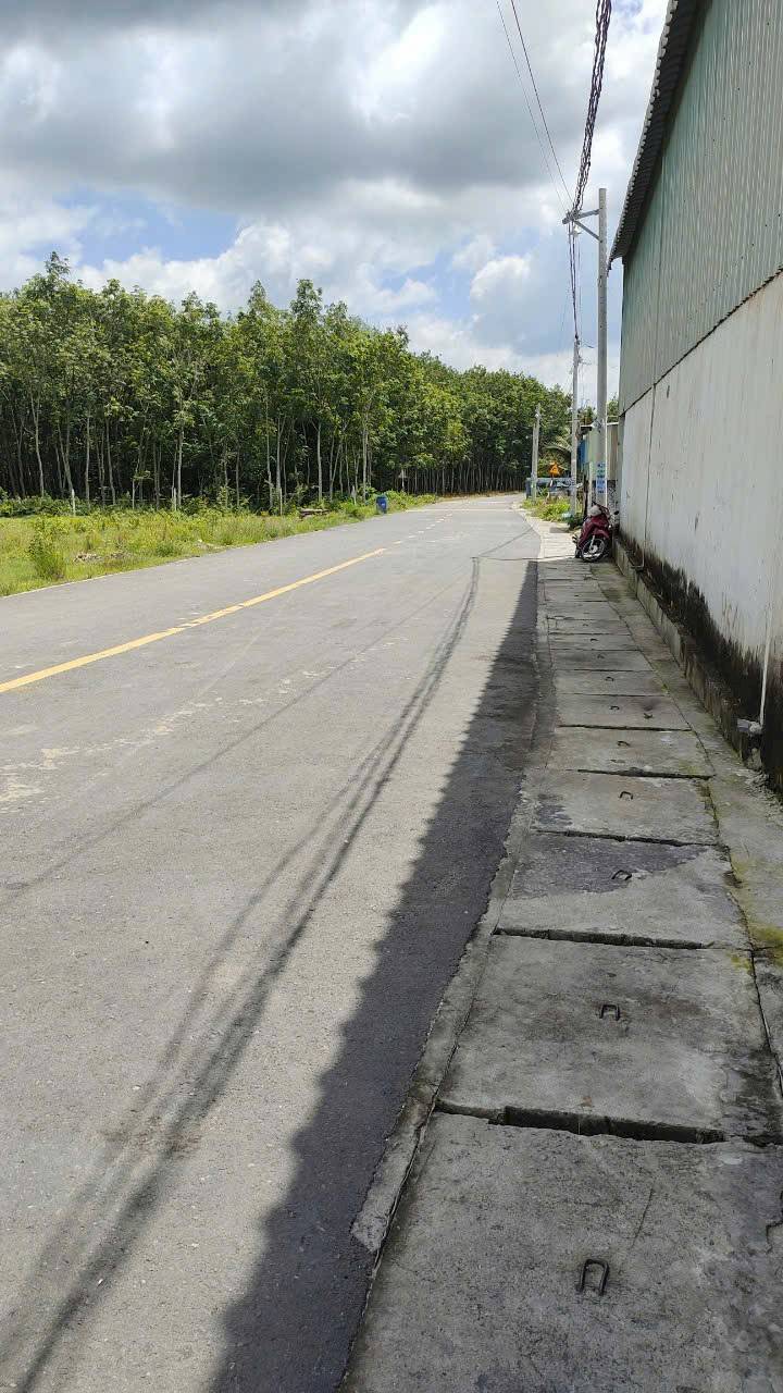 Kho Phú Chánh Tân Uyên 860m² giá 8.5 tỷ - Đầu tư sinh lời ngay!