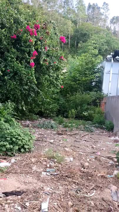 Đất nền An Nhơn 117m² giá 1.2 tỷ - Mặt tiền kinh doanh lý tưởng!