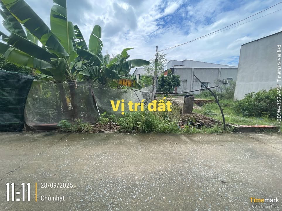 Đất sổ riêng ấp 3 Long Thọ 167m² giá 1.5 tỷ - Hẻm thông rộng rãi