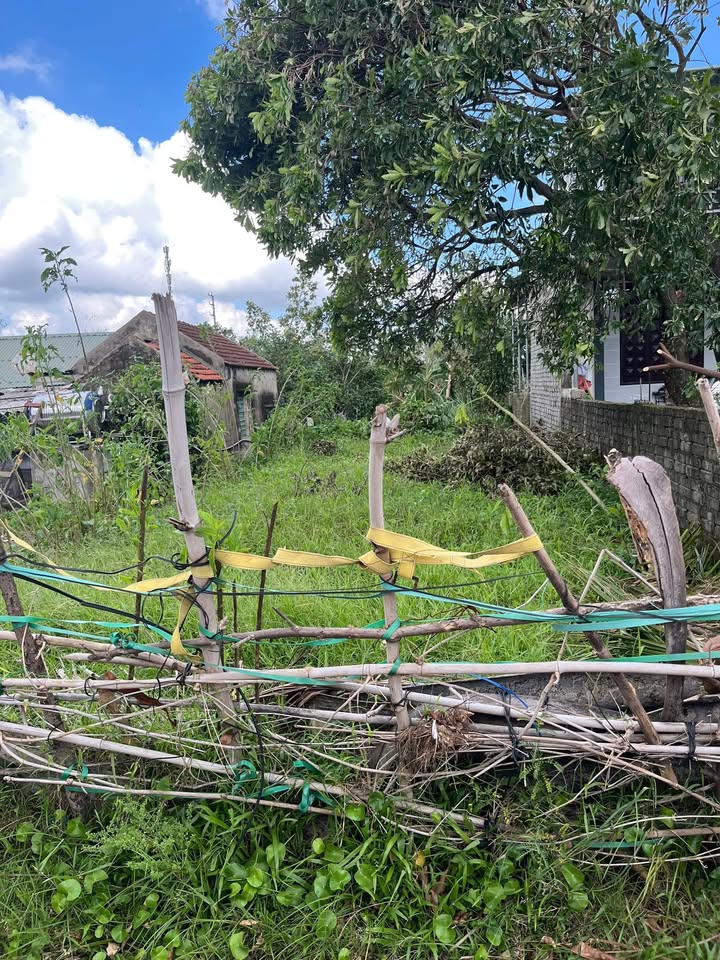 Đất nền Kỳ Liên 150m² giá thỏa thuận - Vị trí đắc địa mặt đường Lê Văn Huân!