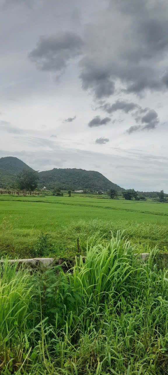 Farm 360m² xã Hàm Trí, Bình Thuận giá 600 triệu - Đầu tư lý tưởng!