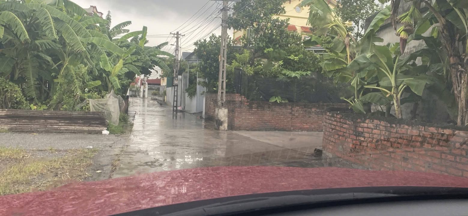 Đất nền Nam Hồng, Nam Sách 183.6m² giá 1 tỷ - Cơ hội đầu tư hấp dẫn!