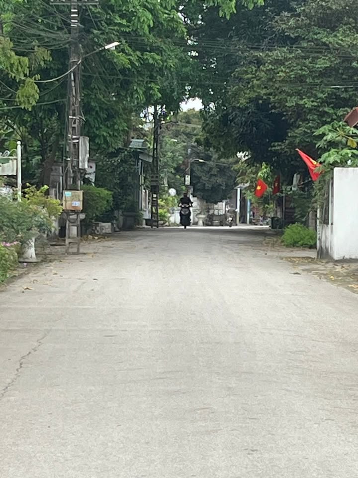 Lô đất thổ cư 200m² tại xã Đồng Lợi, Triệu Sơn - Kinh doanh thuận lợi