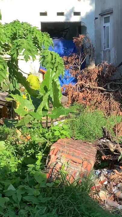 Đất dự án Đông Mai Quảng Yên 112m² giá 1 tỷ - Sổ đỏ chính chủ, xây dựng tự do!