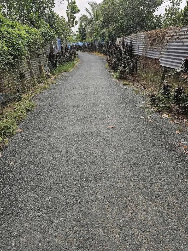 Đất nền 3.000m² mặt tiền nhựa 80m tại xã Thanh Hòa, Cai Lậy - Giá chỉ 1.5 tỷ!