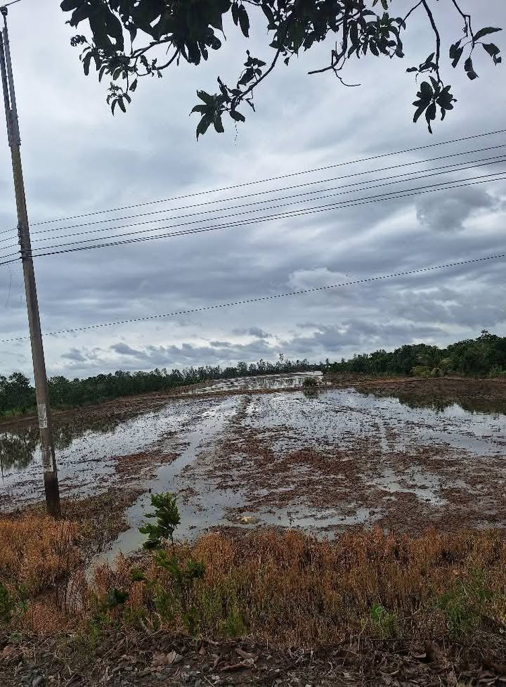 Đất ruộng Đốc Binh Kiều 21 công giá 6.21 tỷ - Cơ hội đầu tư lý tưởng!