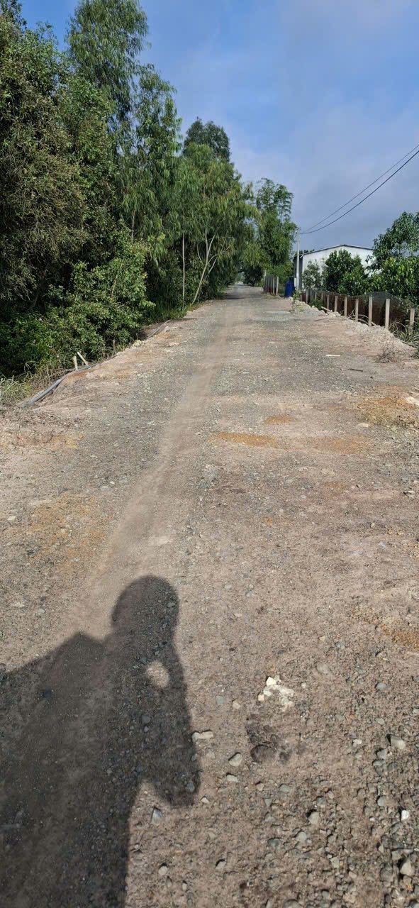 Đất trồng mít 27x585m tại Thạnh Tân, Cái Bè - Giá chỉ 230 triệu/công!