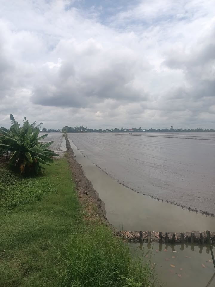 Đất nền xã Nhơn Hòa, Tân Biên 12.000m² giá 2.52 tỷ - Cơ hội đầu tư tuyệt vời!