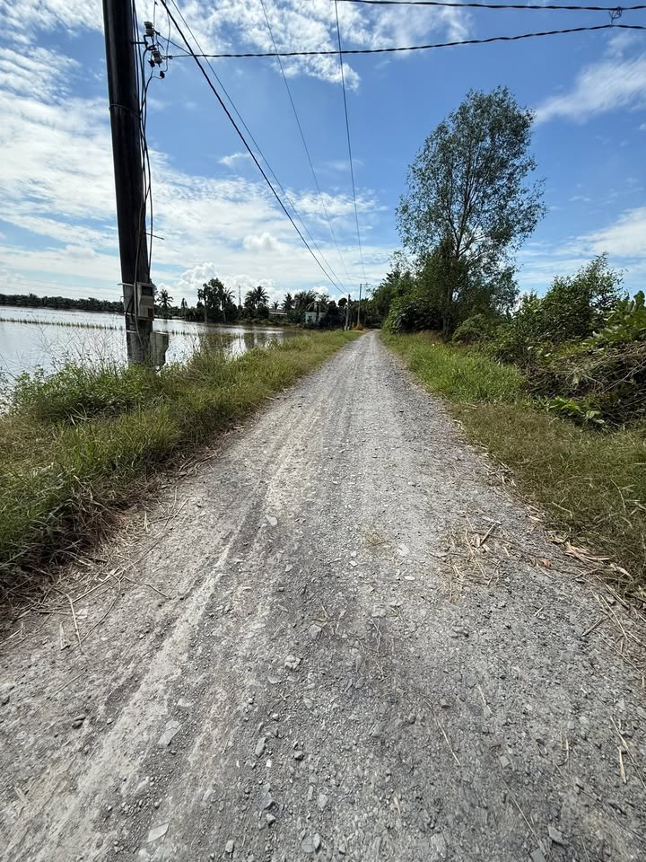 Đất nông nghiệp 10 công tại xã Hậu Mỹ Trinh, Cái Bè - Giá chỉ 4.5 tỷ VND!