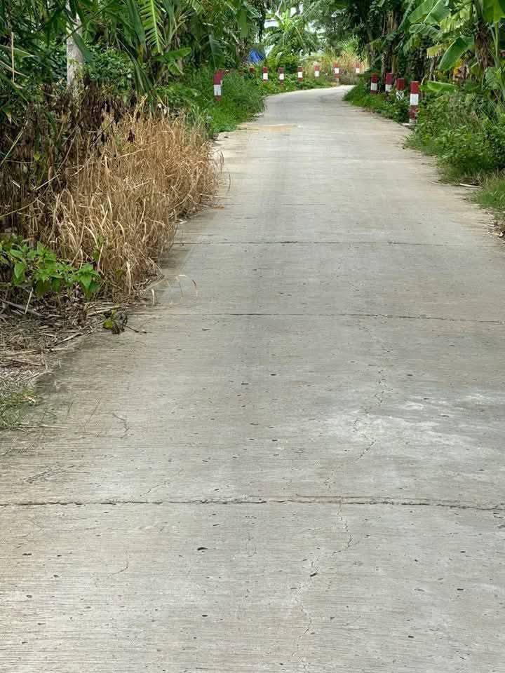 Đất vườn khóm Bào Sơn, Lý Văn Lâm 1120m² giá 1.9 tỷ - Đầu tư sinh lời hấp dẫn!