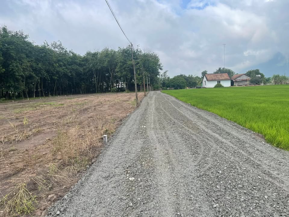 Đất nền Dương Minh Châu Tây Ninh 150m² giá 279 triệu - Sổ đỏ chính chủ, đầu tư sinh lời!