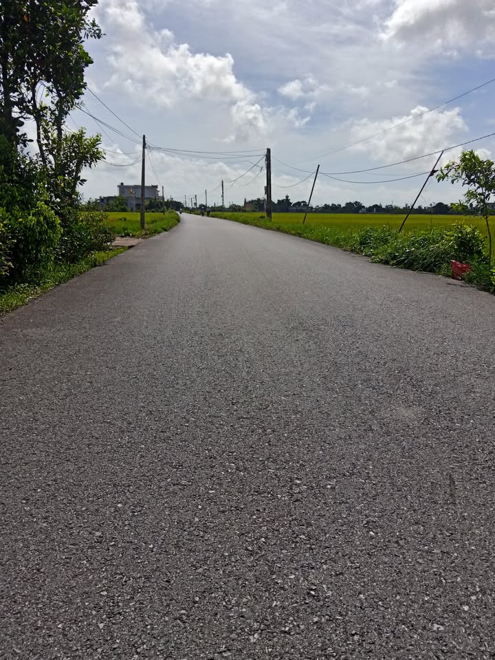 Đất mặt đường Trục Nam Hà – Tiền Hải 99m² giá 1.3 tỷ - Đầu tư sinh lời chắc chắn!