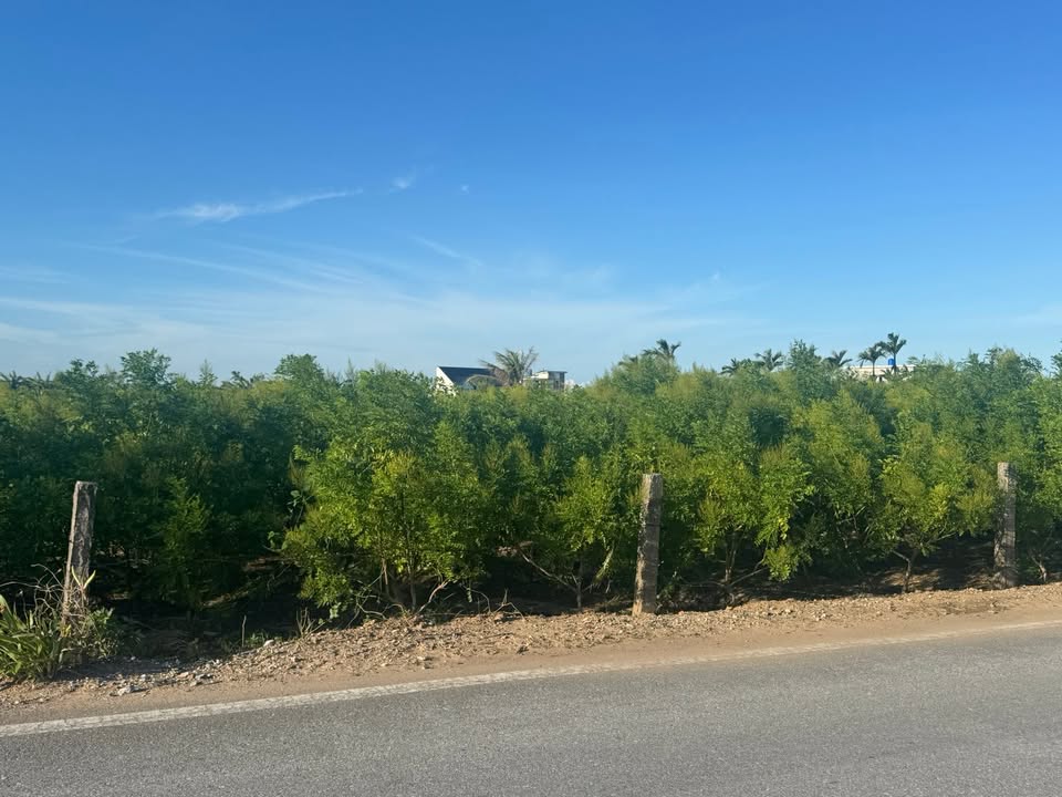 Đất thổ cư 130m² thôn Hải Long, Tiền Hải - Giá 1 tỷ, cách biển 200m!