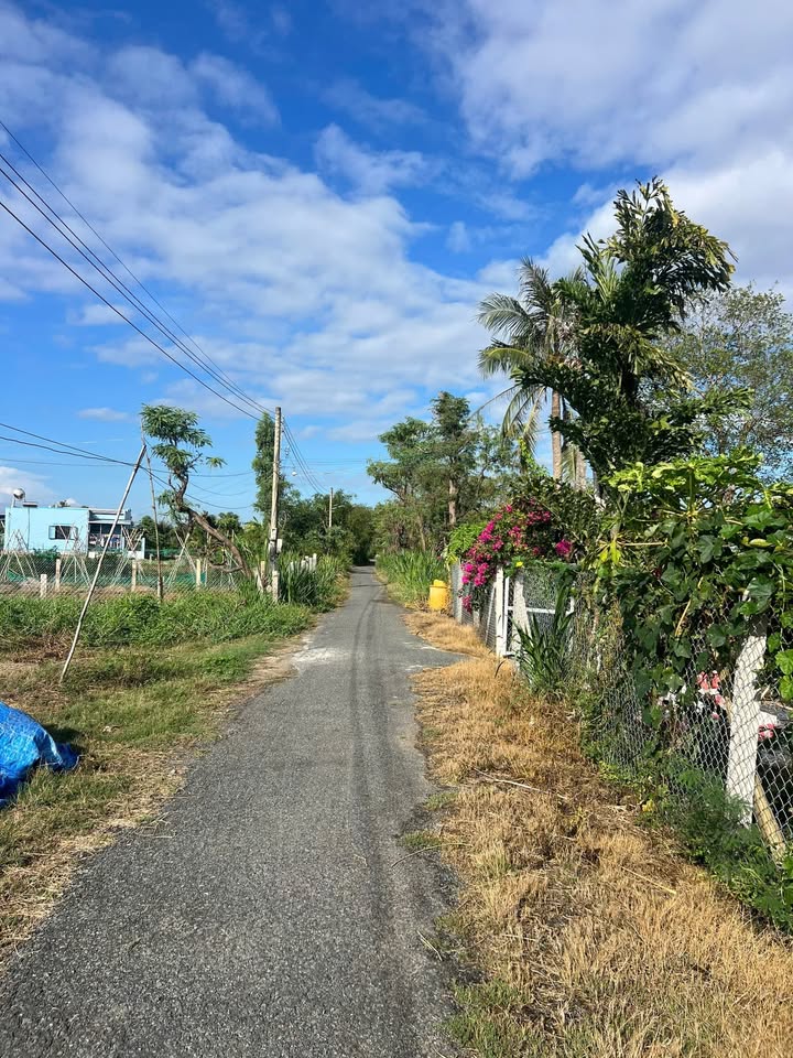 Đất nền thổ cư 175m² tại Gò Công giá chỉ 590 triệu - Sổ hồng sẵn!