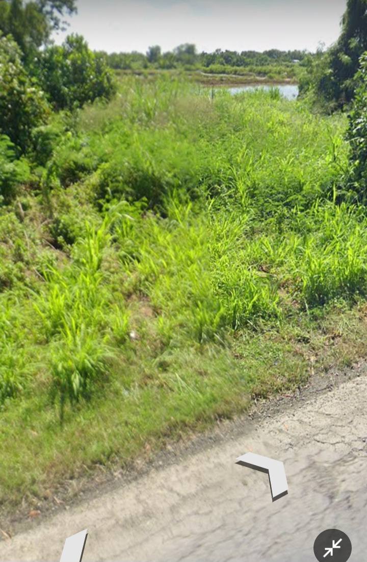 Đất nền mặt tiền tỉnh lộ 914, xã Long Hữu, Vĩnh Long - Diện tích 2875m², giá chỉ 7 tỷ!