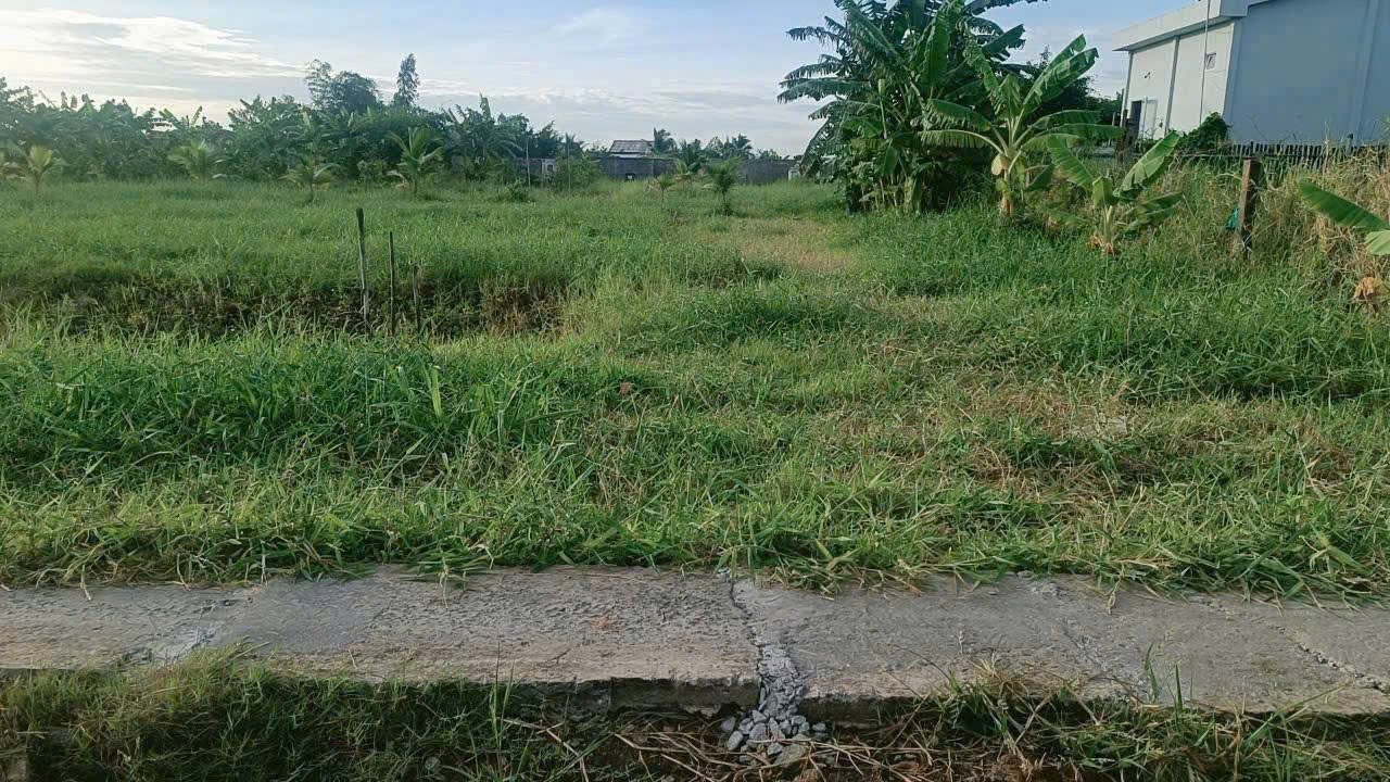 Đất nền Tân Trụ 125m² giá 330 triệu - Sổ đỏ chính chủ!