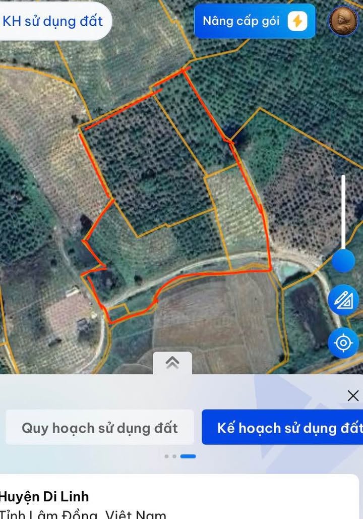 Đất Farm 8.200m² Gung Ré, Di Linh chỉ 2.05 tỷ - View ruộng đẹp!