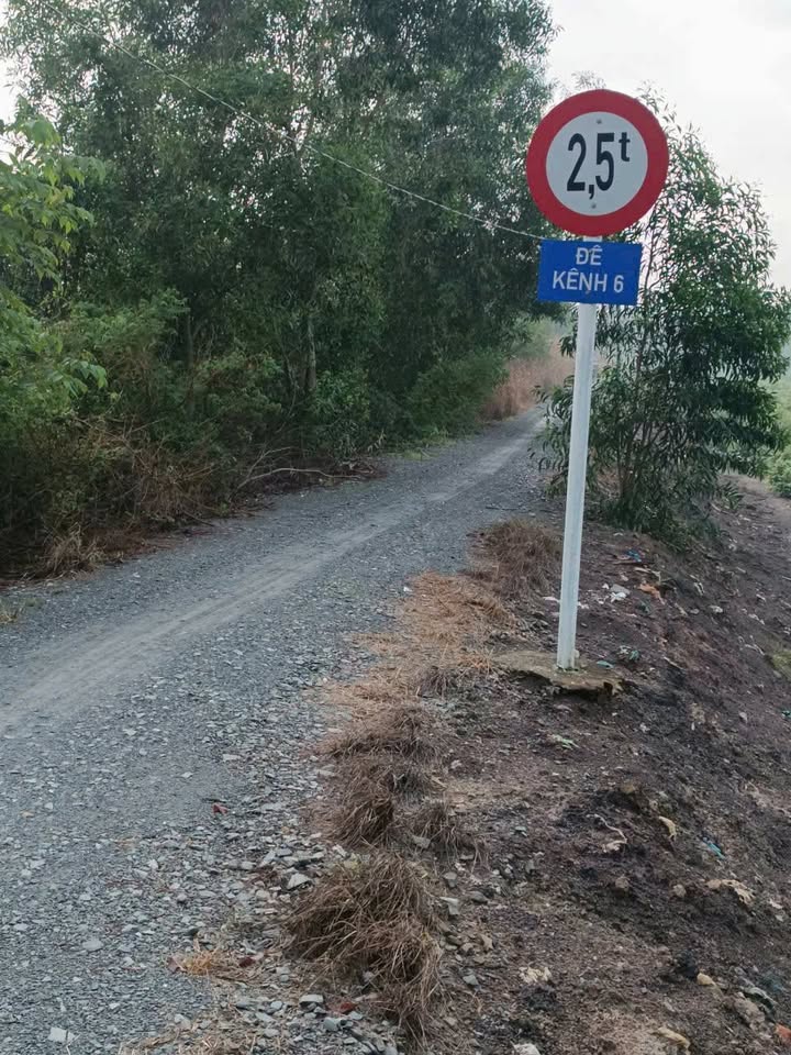 Đất vườn 9092m² Lương Bình, Bến Lức, Long An - Giá 7.3 tỷ, tiềm năng đầu tư lớn!