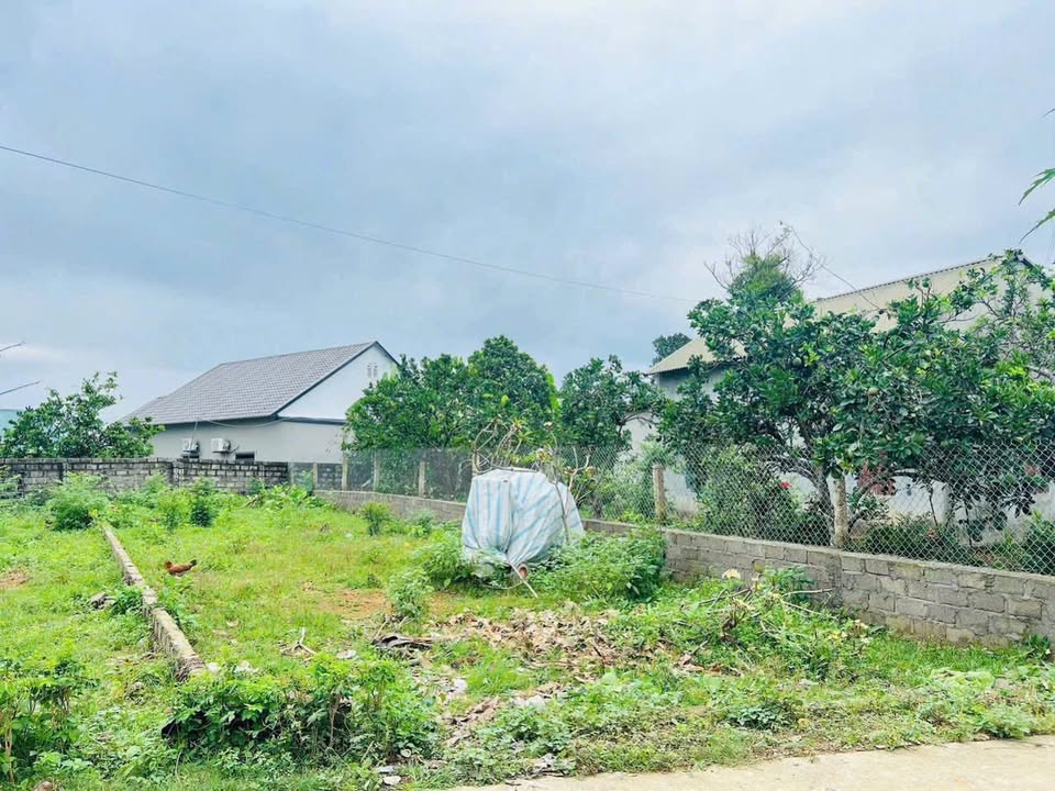 Đất nền Lương Sơn Hòa Bình 120m² giá chỉ 1.x tỷ - Đầu tư tiềm năng sinh lời cao!