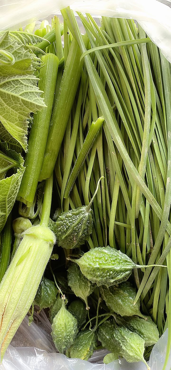 Đất nền góc Phù Cát 100m² giá chỉ 3xx triệu - Cơ hội đầu tư tuyệt vời!