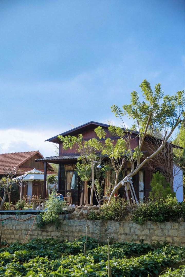 Homestay Đà Lạt 200m² giá 170 triệu - Sẵn sàng kinh doanh ngay!