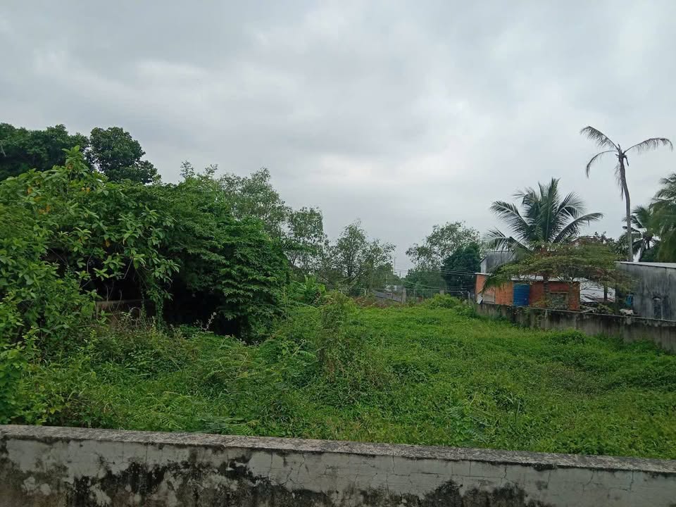 Đất nền Cái Răng Cần Thơ 924.5m² giá 4 tỷ - Mặt tiền đường rộng, cơ hội đầu tư sinh lời!