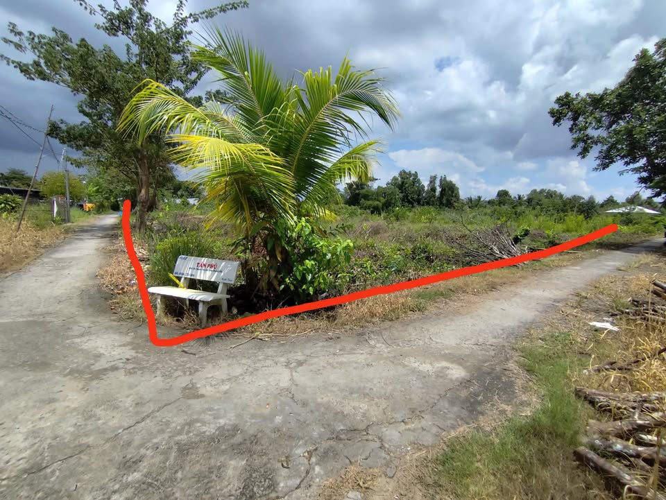 Đất nền liền kề 387m² tại Tân Phú Thạnh, Cần Thơ - Giá chỉ 578 triệu