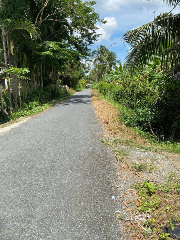 Đất thổ cư 300m² Trà Côn, Trà Ôn - Mặt tiền nhựa, sẵn sàng xây dựng!