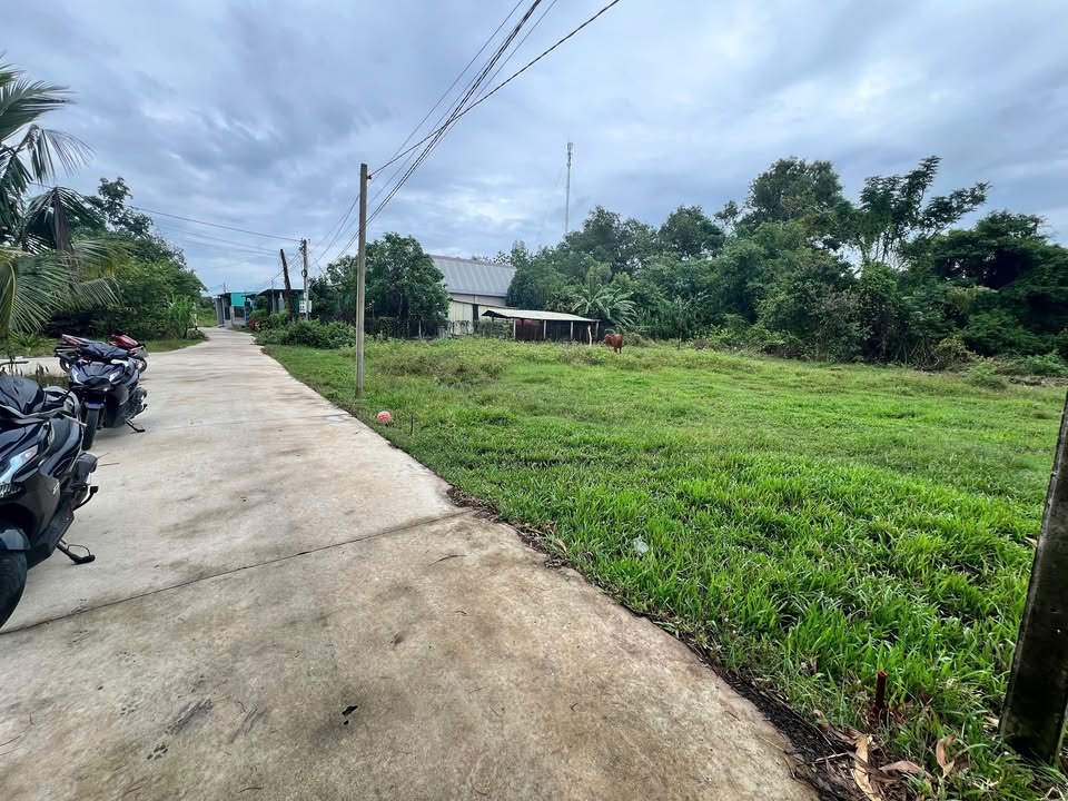 Đất nền Gò Dầu 125m² giá 390 triệu - Mặt tiền đường bê tông, ô tô vào tận nơi!