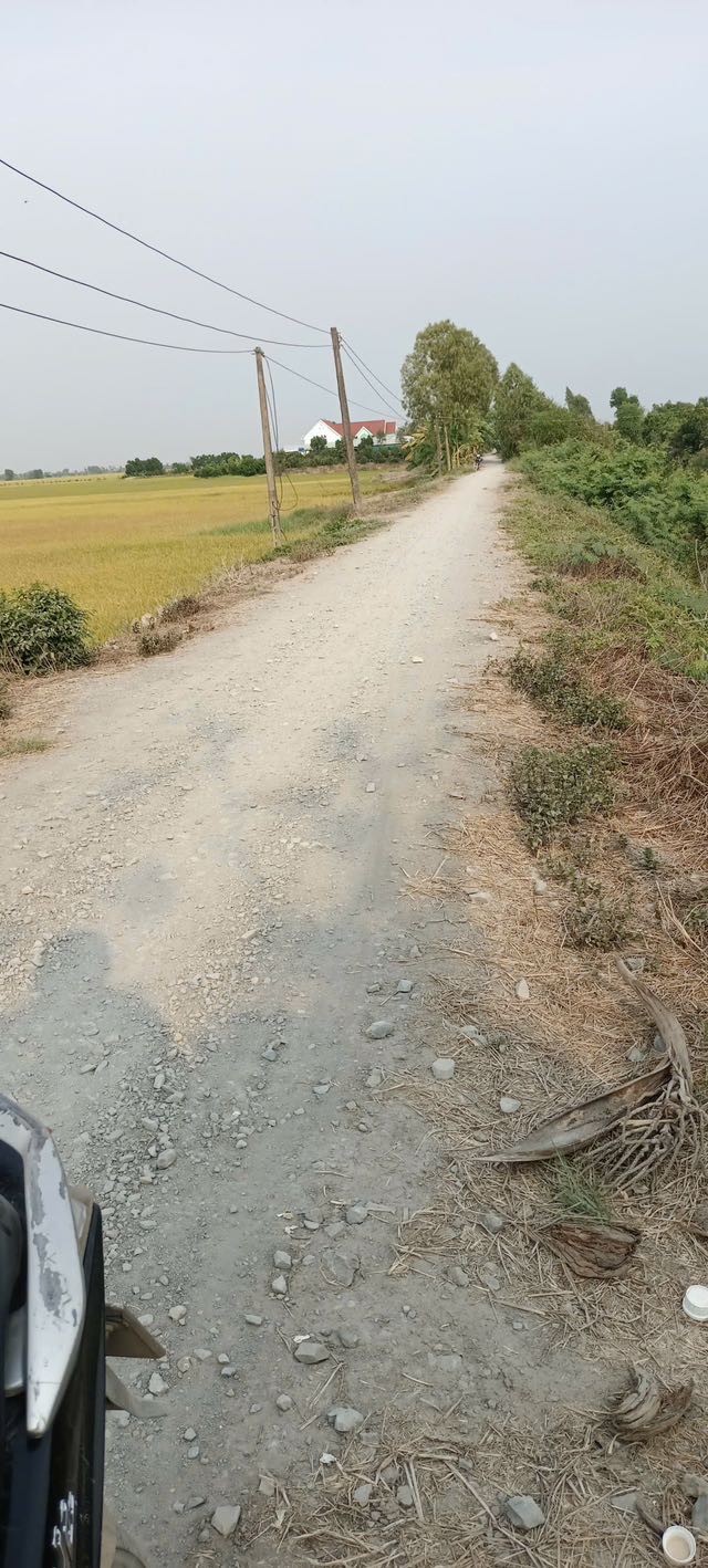 Đất nông nghiệp 45.000m² tại xã Thạnh Hưng, Kiến Tường - Giá chỉ 10.5 tỷ, thương lượng ngay!