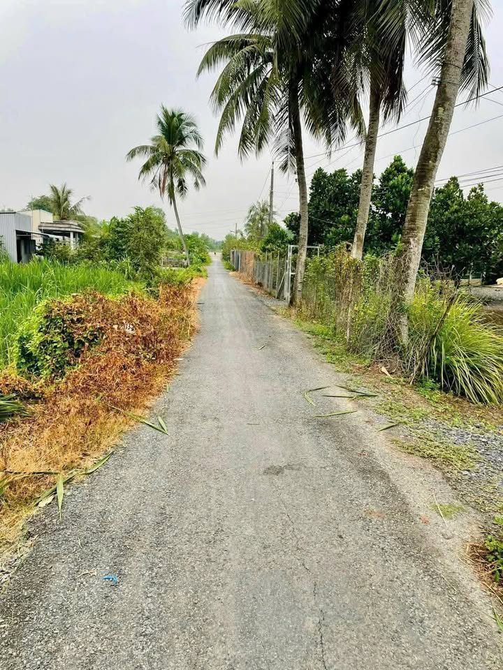 Đất mặt tiền nhựa 534m² tại Phường Bình Xuân, Đồng Tháp - Giá chỉ 1.15 tỷ!