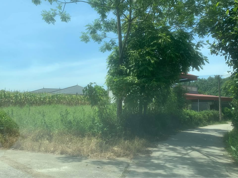 Đất nền 387m² phường Hợp Minh, Yên Bái - Lô góc 2 mặt tiền, giá 2 tỷ hấp dẫn!