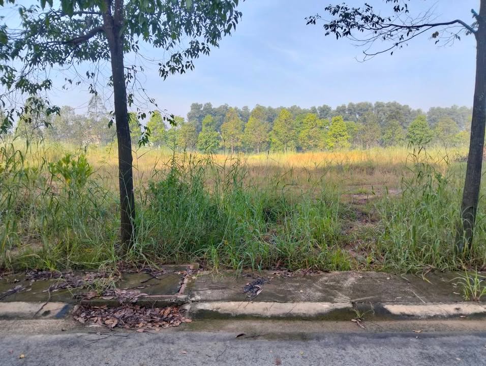 Đất nền Bến Cát 150m² giá 1 tỷ - Vị trí đắc địa gần Đô Thị Oasis