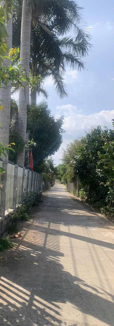 Đất thổ cư 466m² tại Tân Phong, Cai Lậy - Giá chỉ 750 triệu, thương lượng!