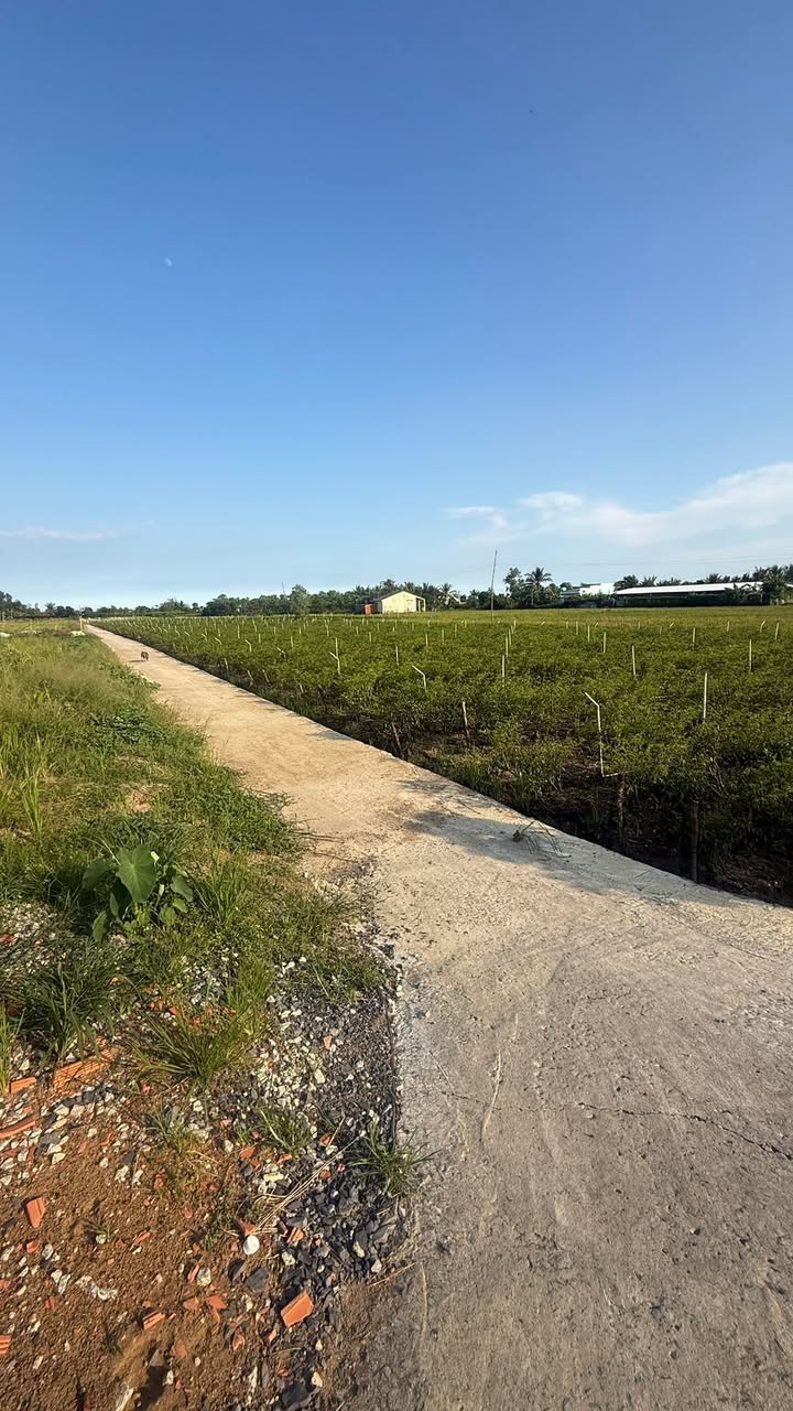 Đất nông nghiệp Tân Tây, Gò Công Đông 2600m² giá 700 triệu - Cơ hội đầu tư sinh lời!