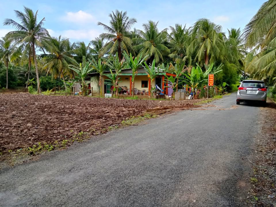 Đất nền 252m² tại ấp Hòa Thành, Chợ Gạo - Giá chỉ 325 triệu, vị trí đắc địa!