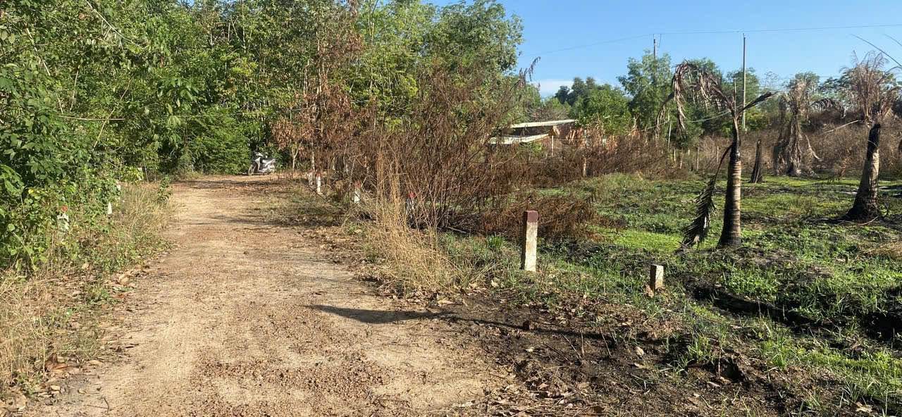 Đất thổ cư Trà Vong Tân Biên 120m² giá 117 triệu - Cơ hội đầu tư hiếm có!